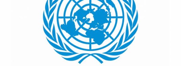 Read the UN Security Council Report on Somalia
